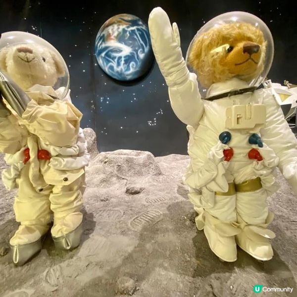 去濟洲探Teddy Bear 