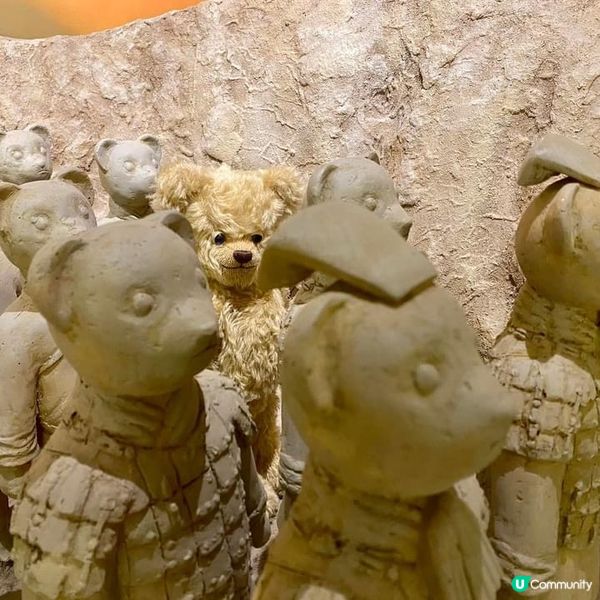 去濟洲探Teddy Bear 