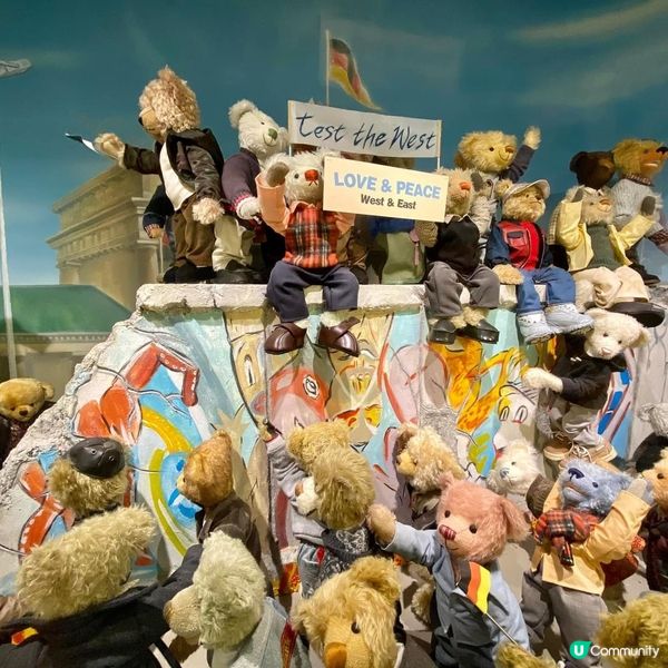 去濟洲探Teddy Bear 