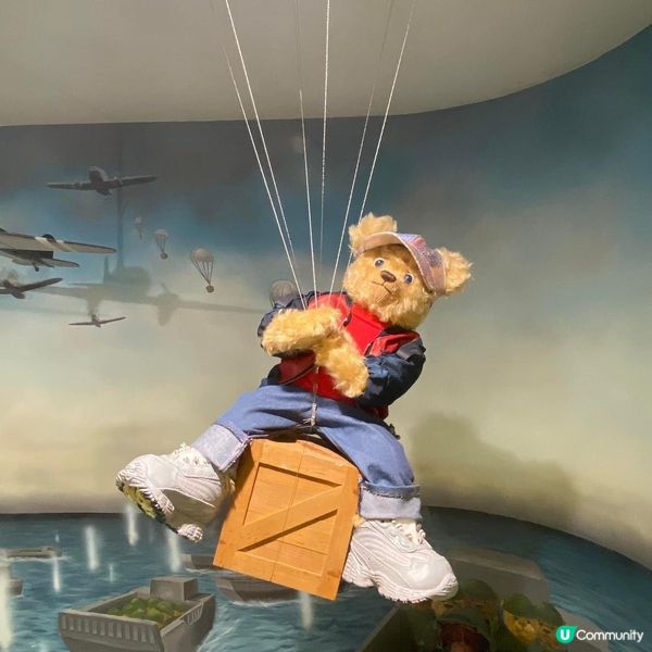 去濟洲探Teddy Bear 