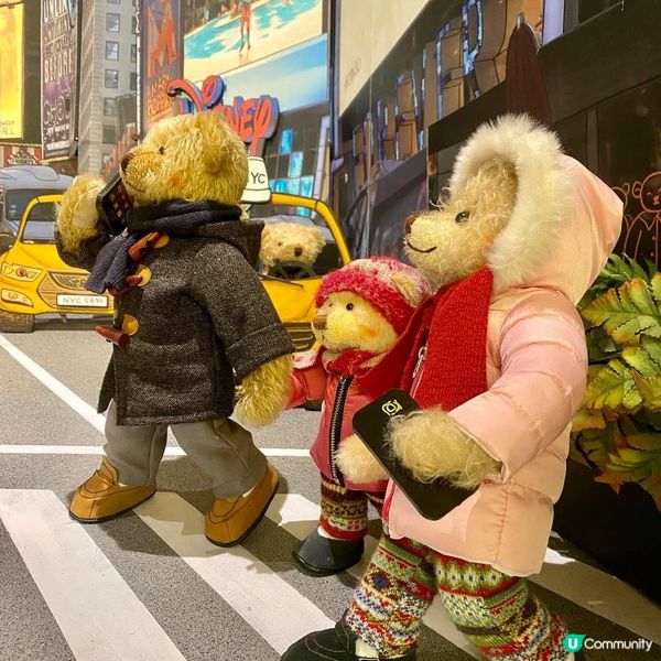 去濟洲探Teddy Bear 