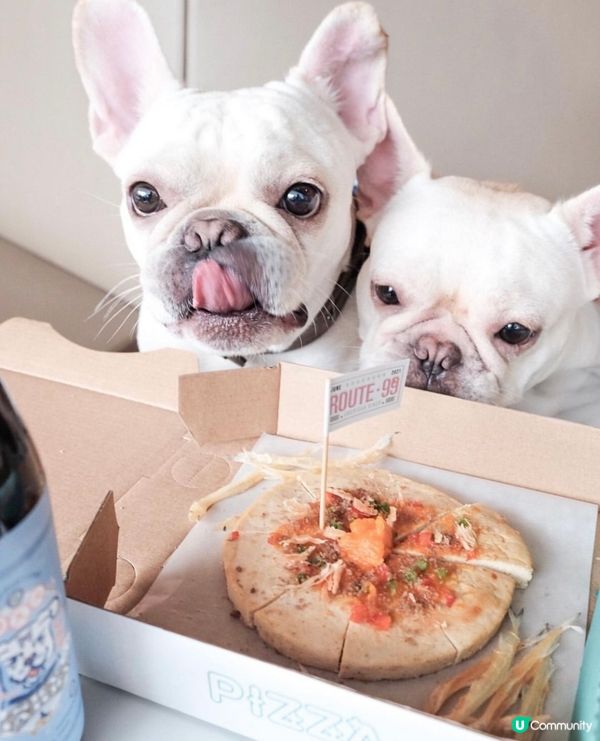 第一次食🐶🐶🍕同飲啤酒🍺