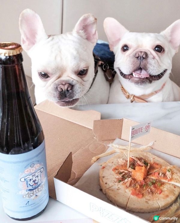 第一次食🐶🐶🍕同飲啤酒🍺