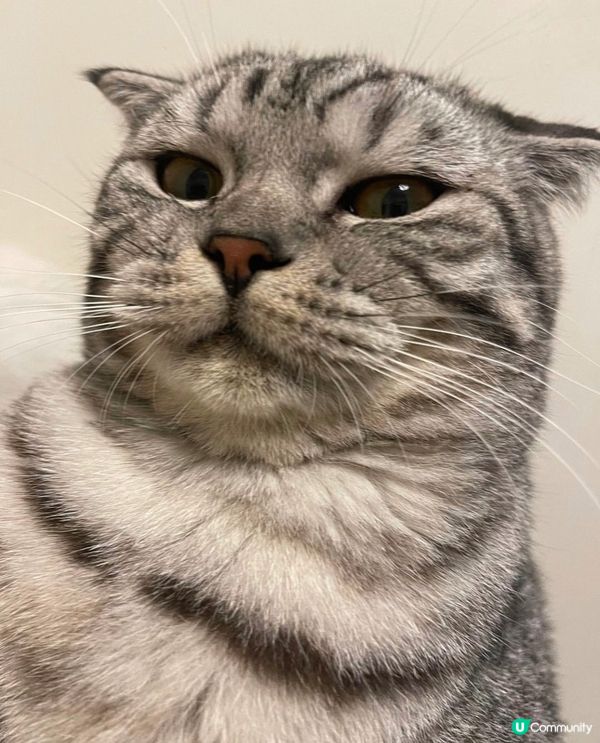 🐱最唔鍾意落雨🌚