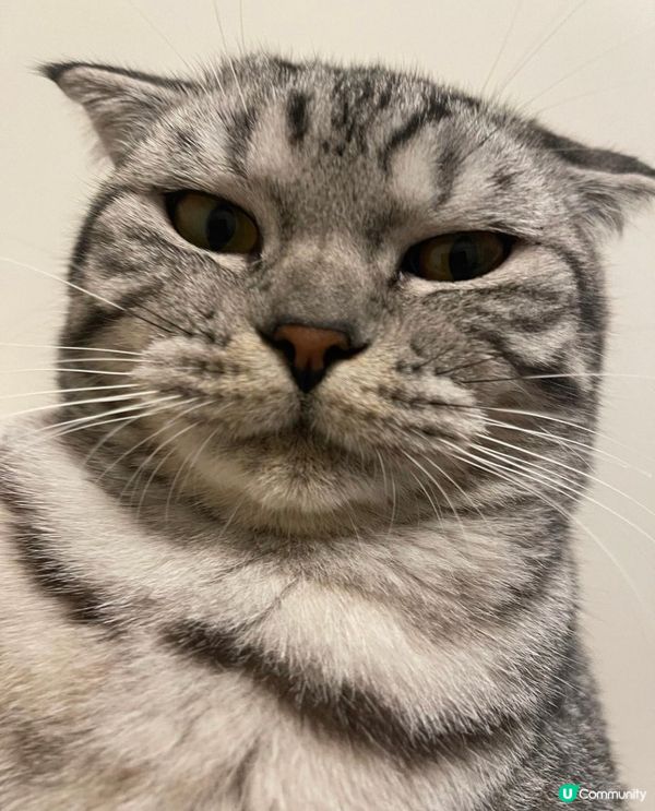 🐱最唔鍾意落雨🌚