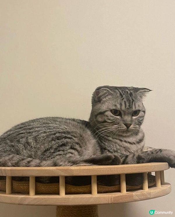 🐱最唔鍾意落雨🌚