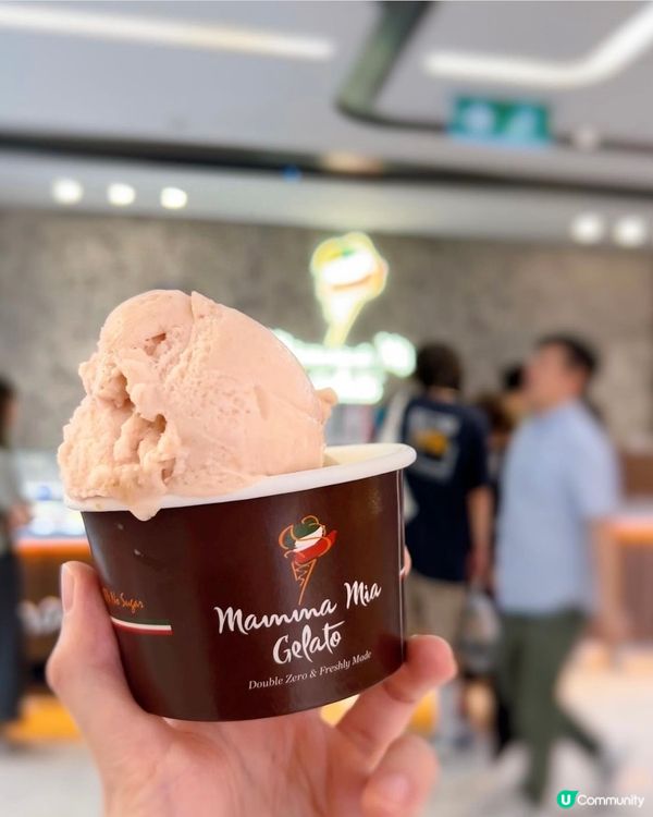 ✨健康好味無糖無脂Gelato🇮🇹