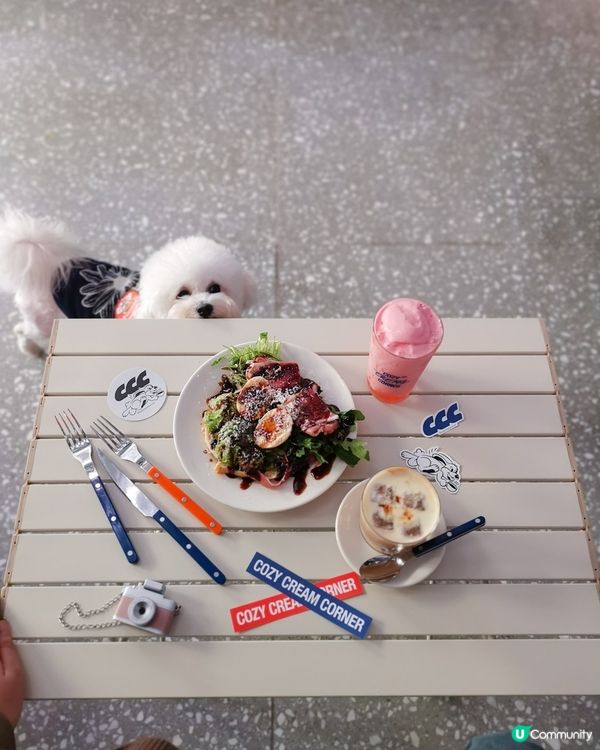 大角咀人氣韓系寵物友善cafe ☕🐕‍🦺🐩