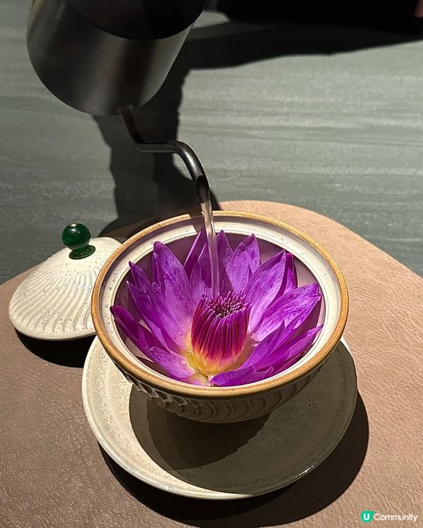 成都必食😋 天和私房菜，暖胃湯品+創意菜，食到停唔到！