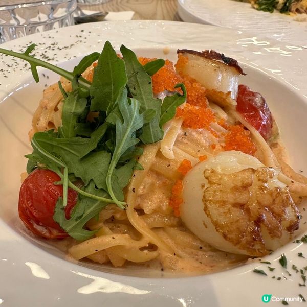 香港首間刺蝟主題cafe🦔