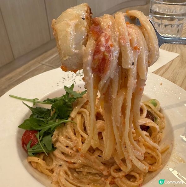 香港首間刺蝟主題cafe🦔