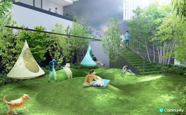 東京星野OMO系列再一間~「OMO5東京五反田」寵物友善還有備有廚房的房型！