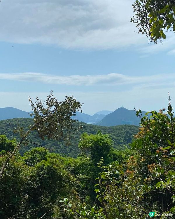 香港行山打卡📸  
港女咖啡☕️打卡指南