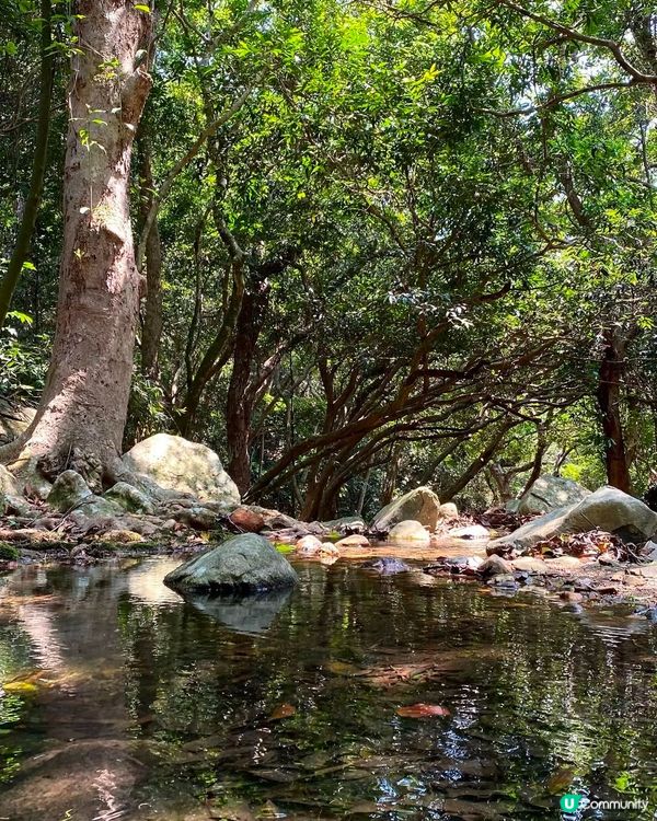 香港行山打卡📸  
港女咖啡☕️打卡指南