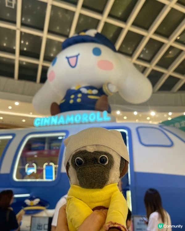 未見過咁大隻cinnamoroll 😍🐵