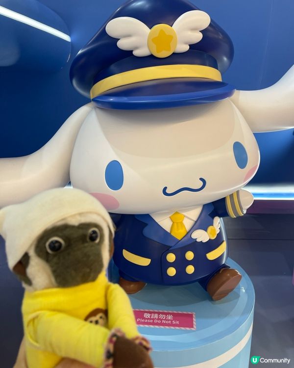 未見過咁大隻cinnamoroll 😍🐵