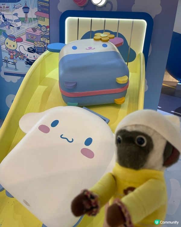 未見過咁大隻cinnamoroll 😍🐵