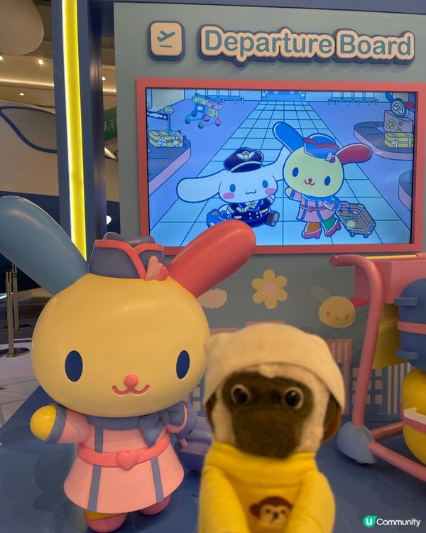 未見過咁大隻cinnamoroll 😍🐵