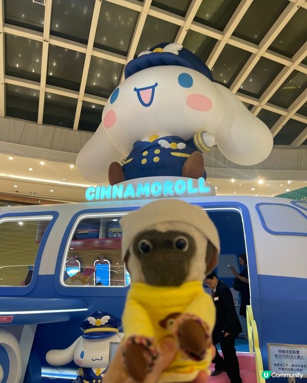 未見過咁大隻cinnamoroll 😍🐵