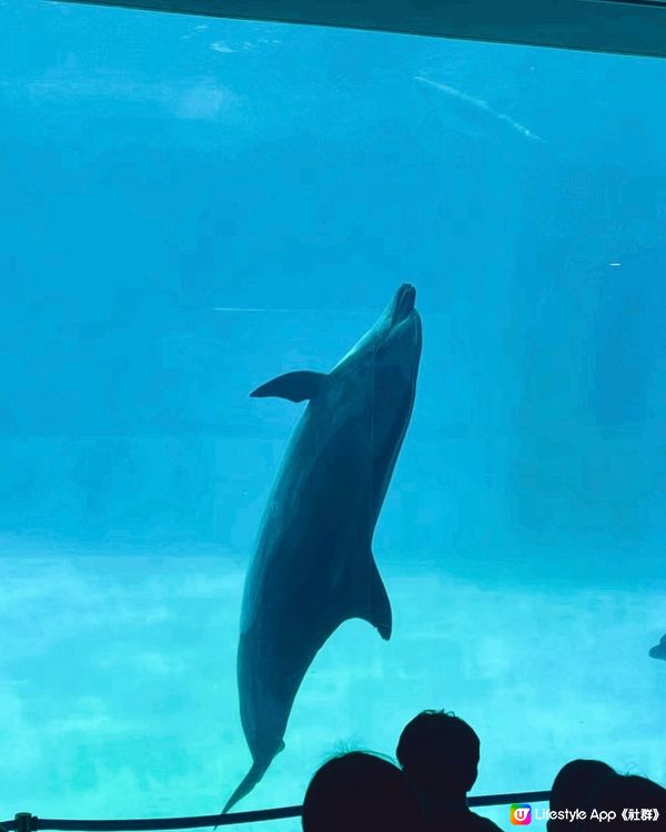 水族館