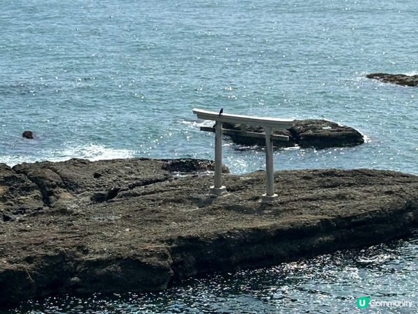 茨城人氣景點 — 「神磯鳥居」 