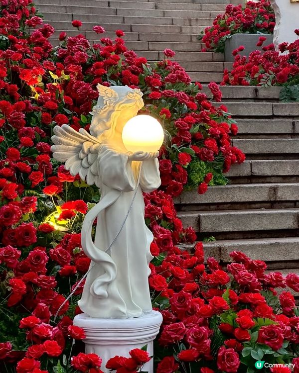 好有氛圍的玫瑰🌹花園