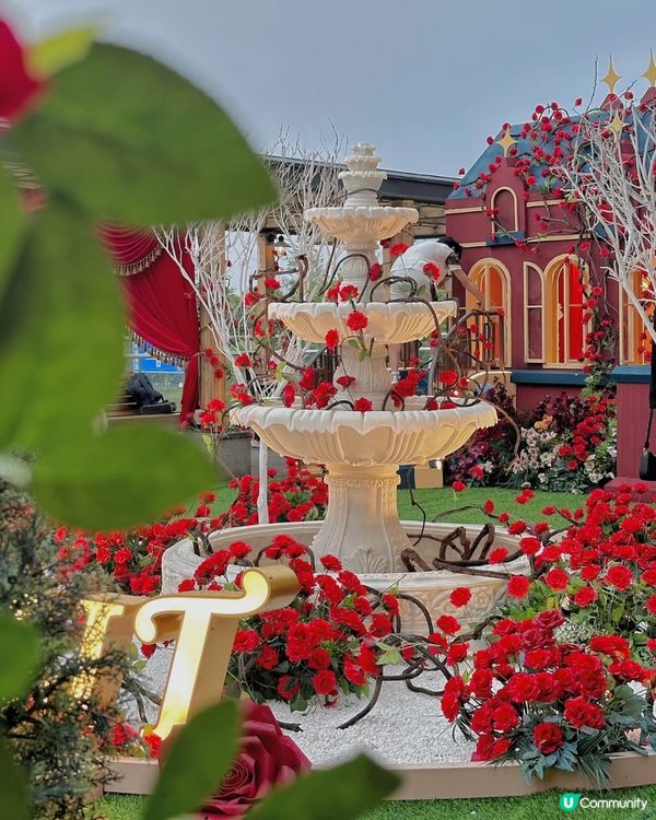 好有氛圍的玫瑰🌹花園