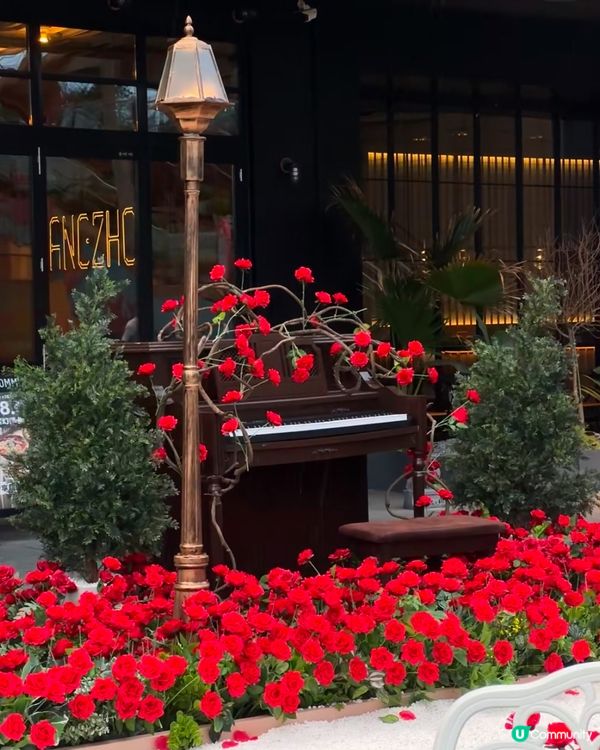 好有氛圍的玫瑰🌹花園