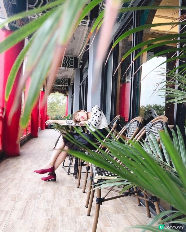 高雄圓山大飯店🍷☕️ 50年歷史！