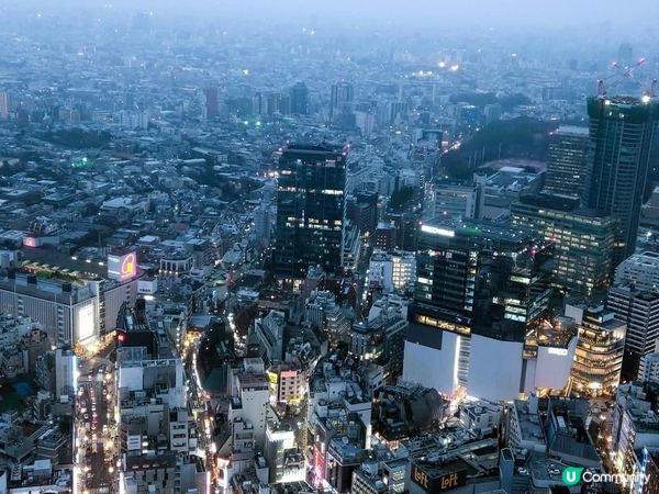 渋谷美景一覽無遺