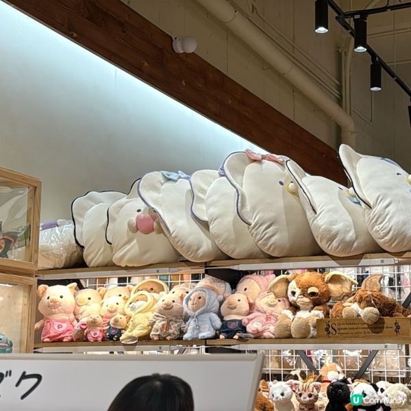 🫡 歡迎關注我嘅戶口､訂閱我嘅YouTube頻道, foll...