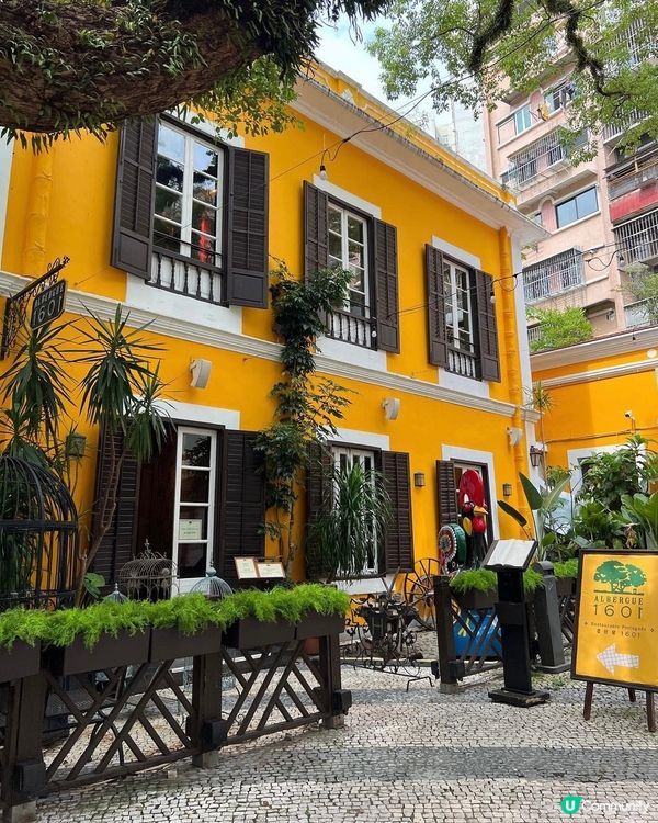 《澳門大熱葡國菜》