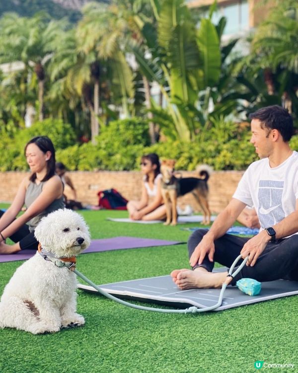 人狗瑜珈🧘 namaste 