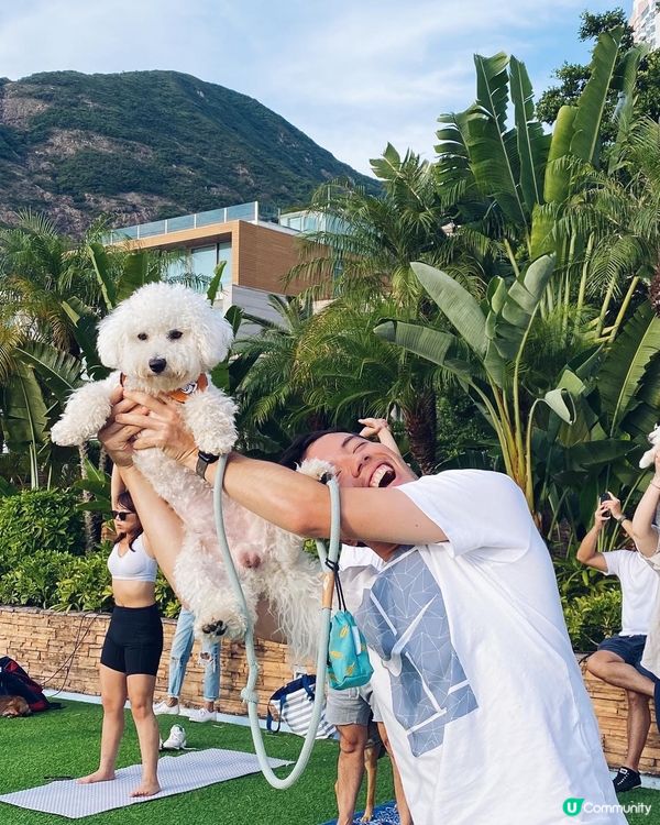 人狗瑜珈🧘 namaste 