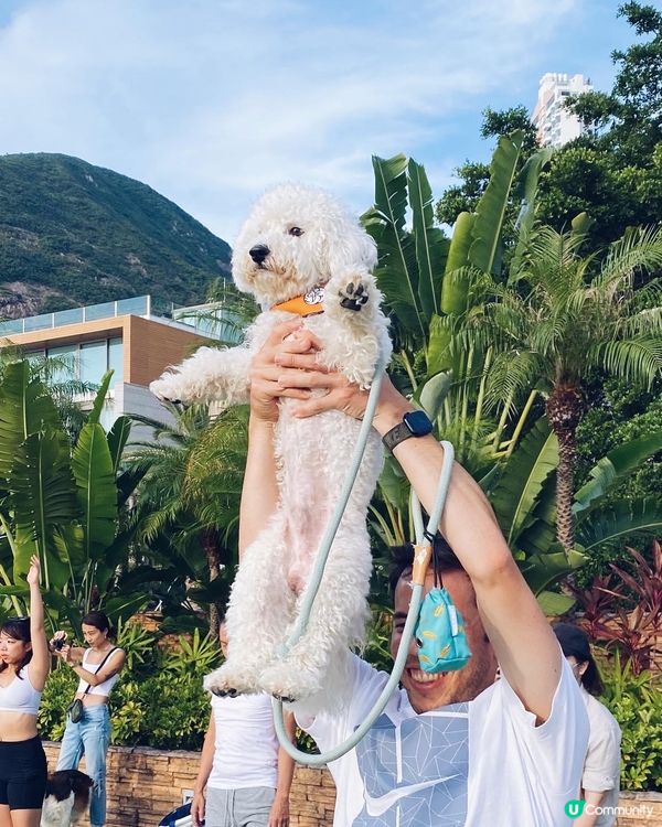 人狗瑜珈🧘 namaste 