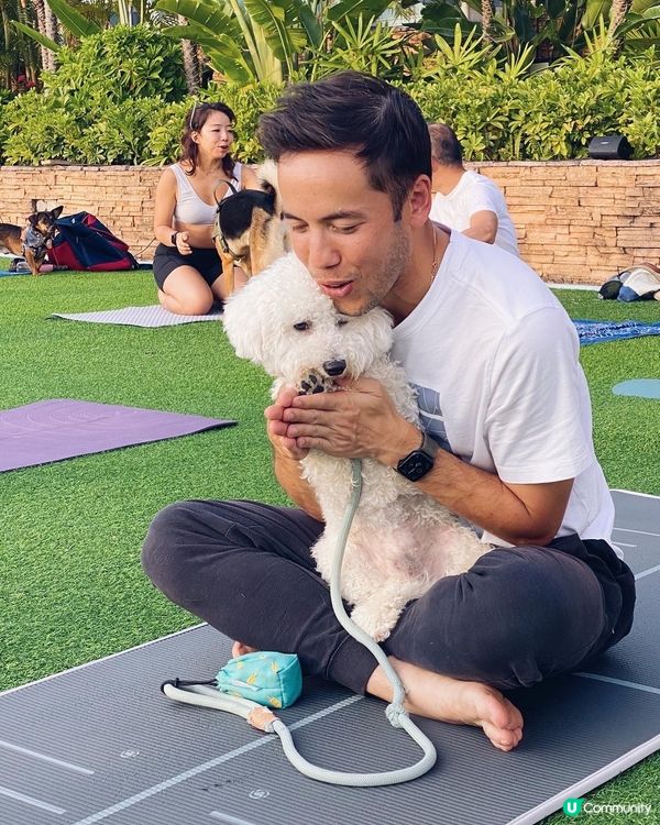 人狗瑜珈🧘 namaste 