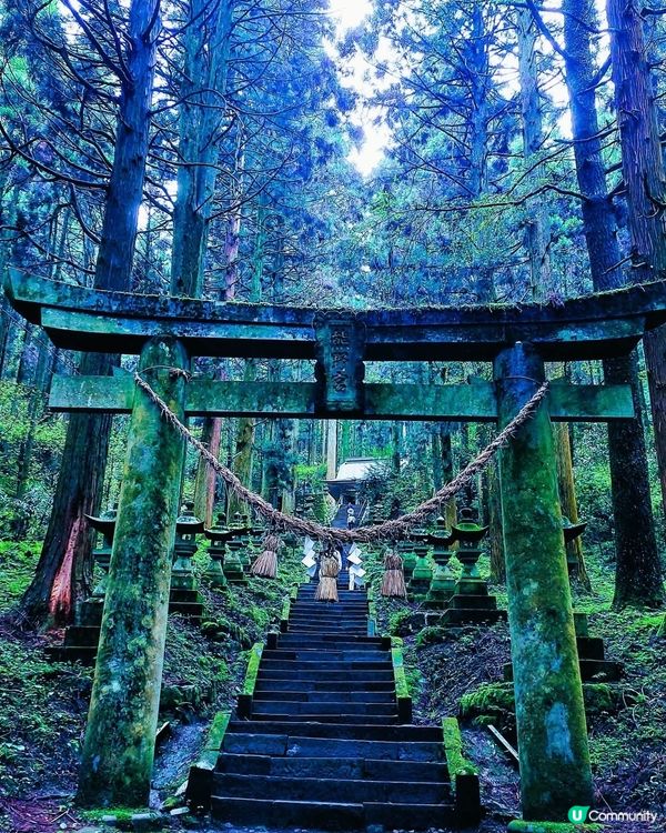 熊本異世界神社之旅！⛩️ 結界體驗！✨