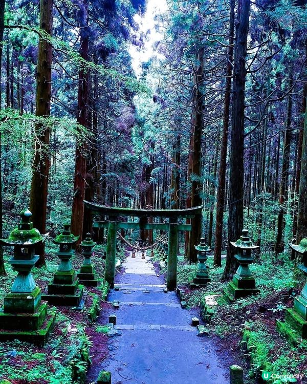 熊本異世界神社之旅！⛩️ 結界體驗！✨