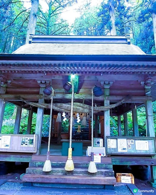 熊本異世界神社之旅！⛩️ 結界體驗！✨