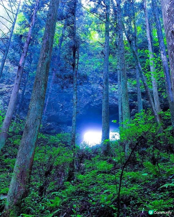 熊本異世界神社之旅！⛩️ 結界體驗！✨