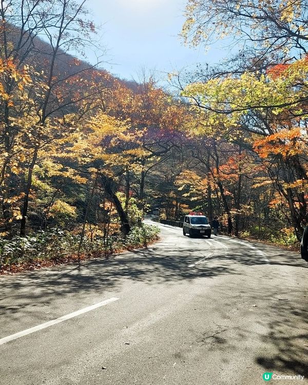 紅葉季🍁奧入瀨溪流！必去打卡📸！