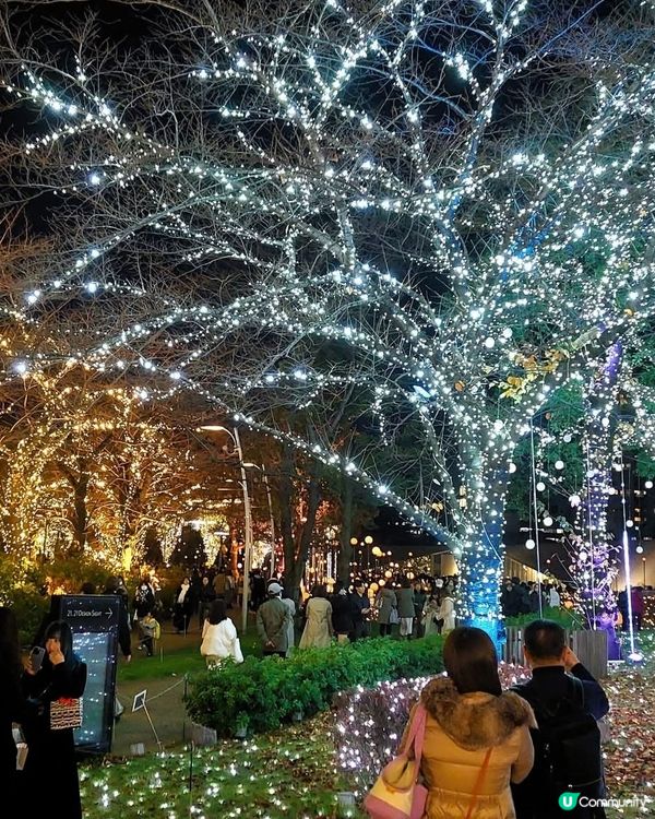 東京六本木中城聖誕燈飾🎄2025等你嚟！✨
