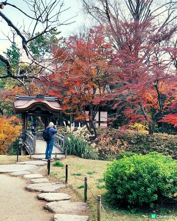 三溪園打卡！日式庭園美到爆！🤩🌸