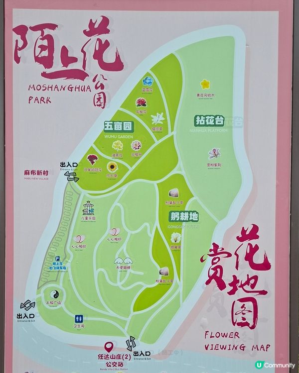 深圳📍生態 | 雨中花海漫步🪻洗滌心靈之路🚶‍♂️