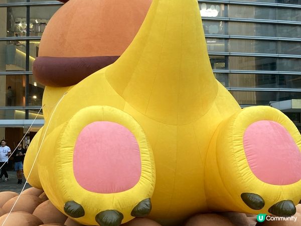 樂富和黃色小奶龍