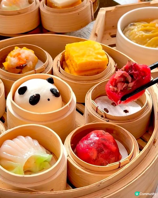 啟德雙子匯新店開張🎉  
超靚落地窗🏙️，高空城景，飲茶嘆景