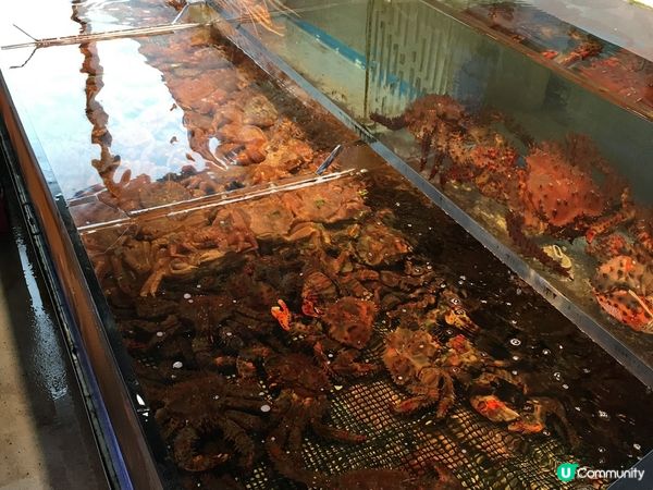 必食！！札幌場外市場超新鮮海鮮