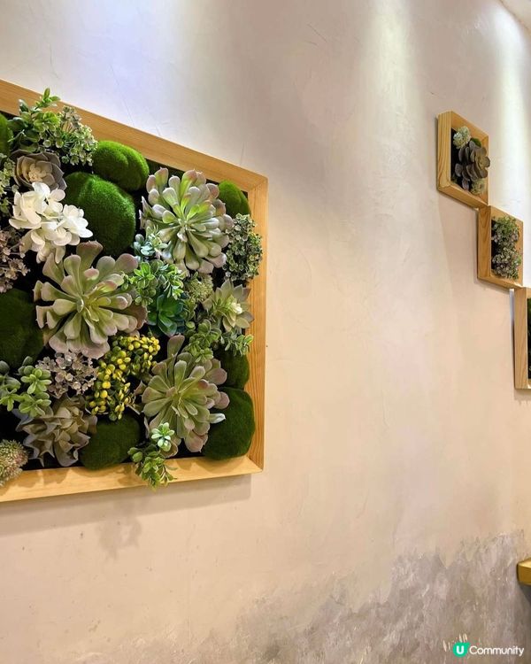 太和隱世純白cafe🤍✨☕️