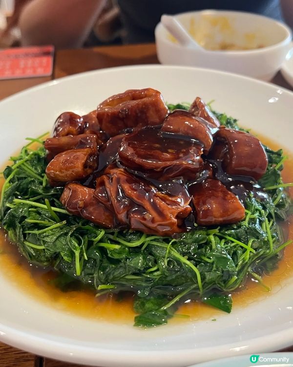 🇨🇳上海本幫菜性價比之王！馨和小館