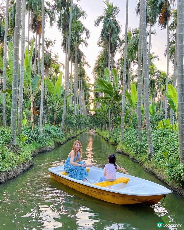  泰國 ｜ 隱藏版森林咖啡廳☕️
